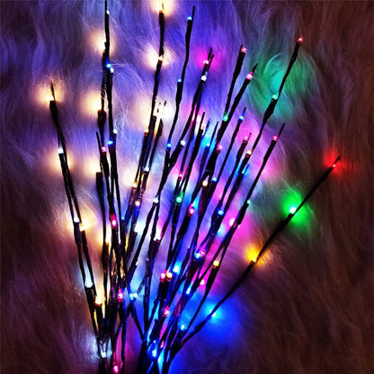 Coloured Light Twig Branches