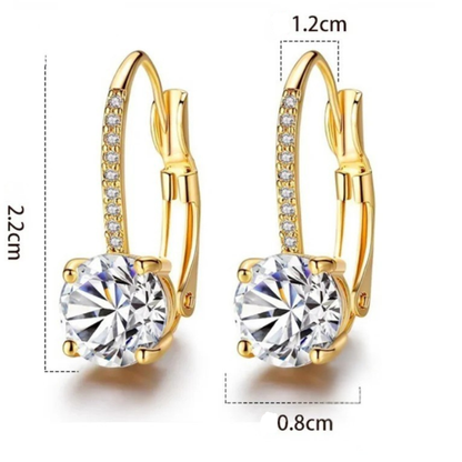 Crystal Hoop Earrings